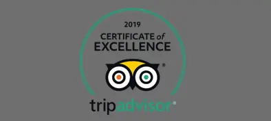 Cetificate of Exellence 2019